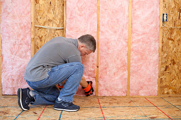 Types of Insulation We Offer in Higginsville, MO